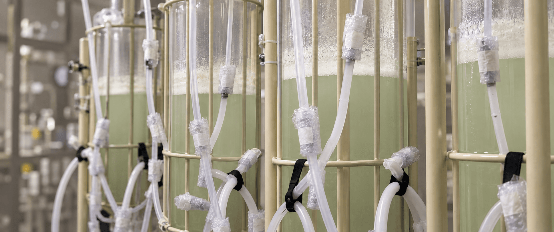 Asterix disposable bioreactor units