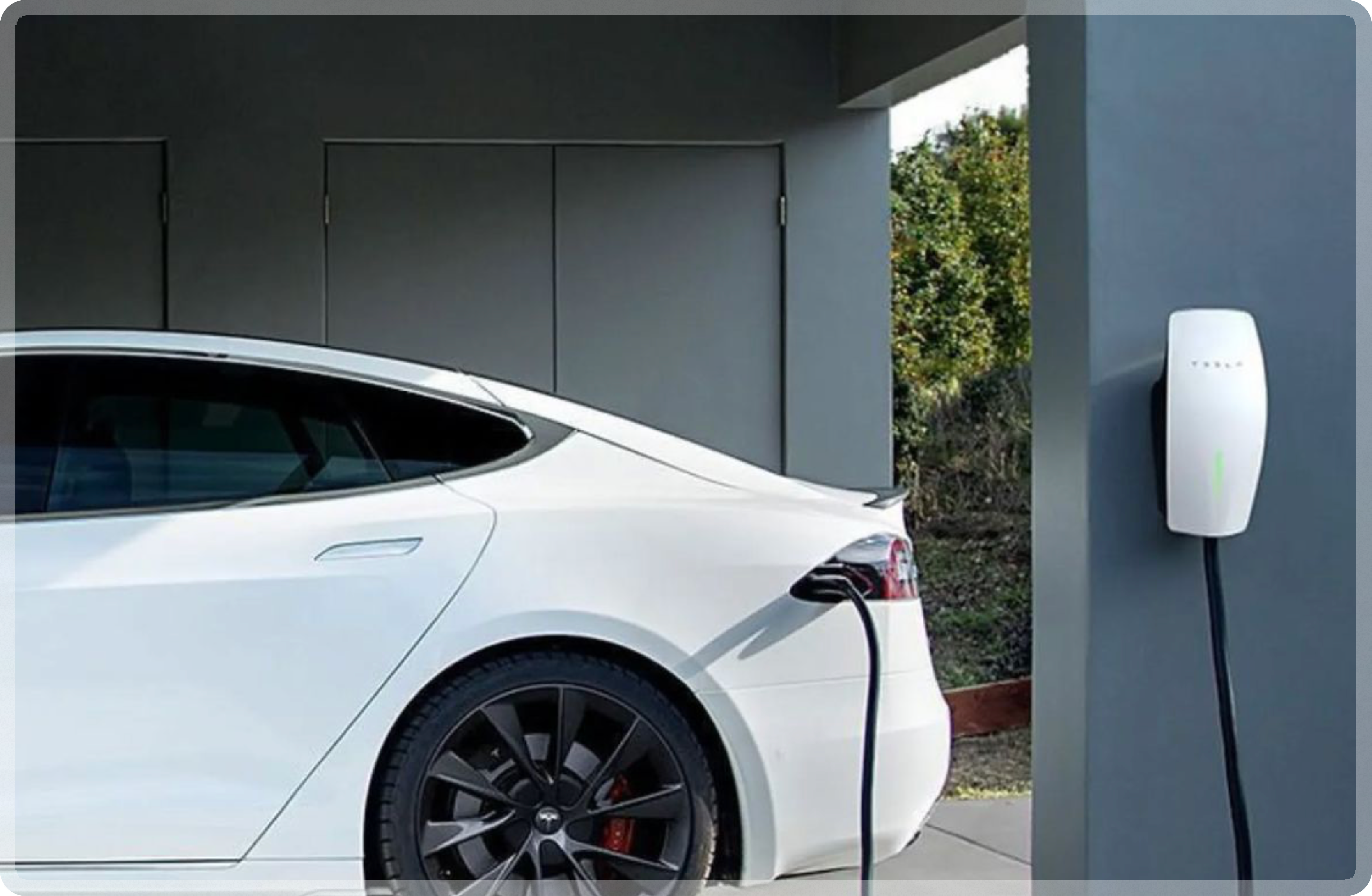 An image of Dreelio's dashboard