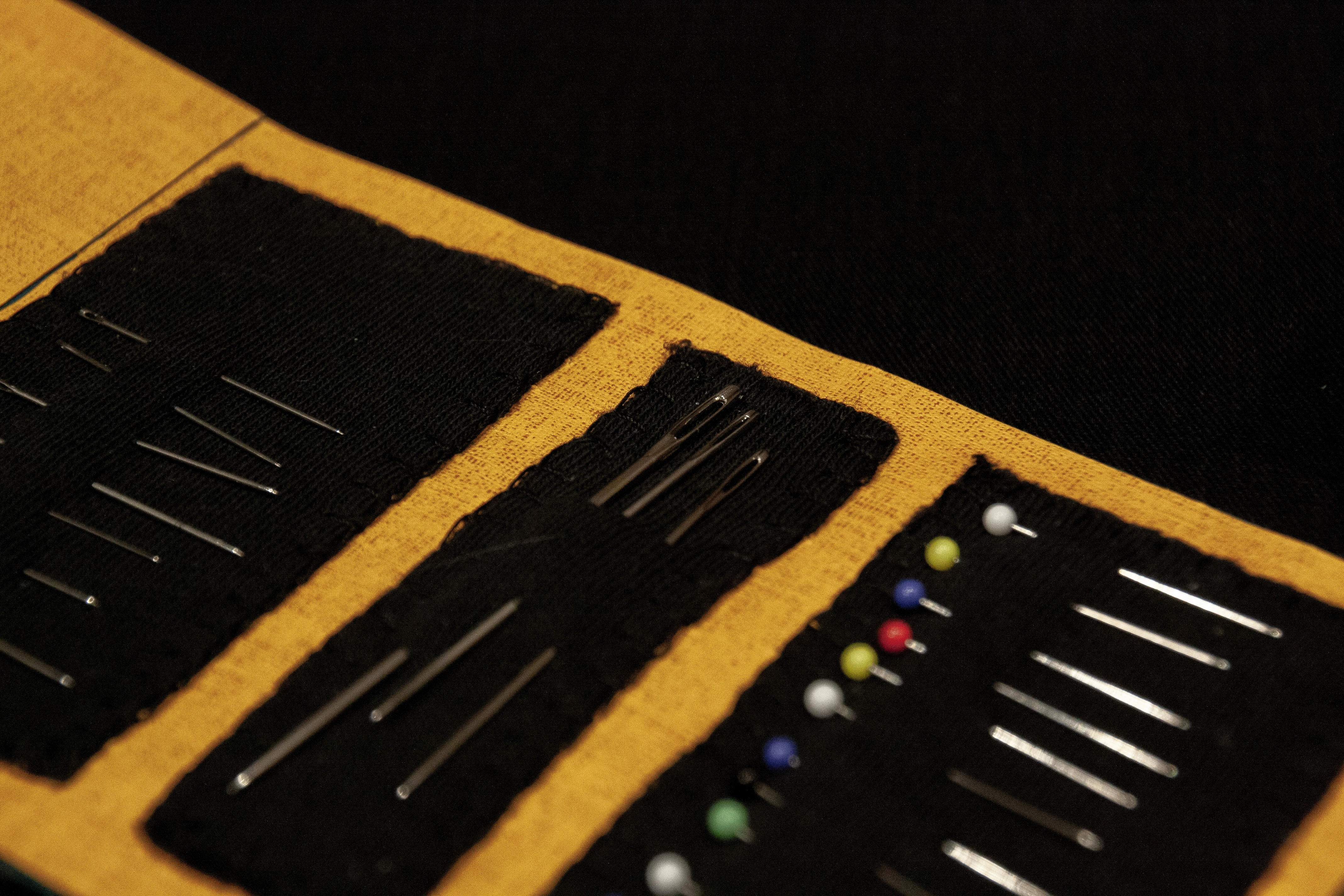 Close-up showing needles and pins in mending kit