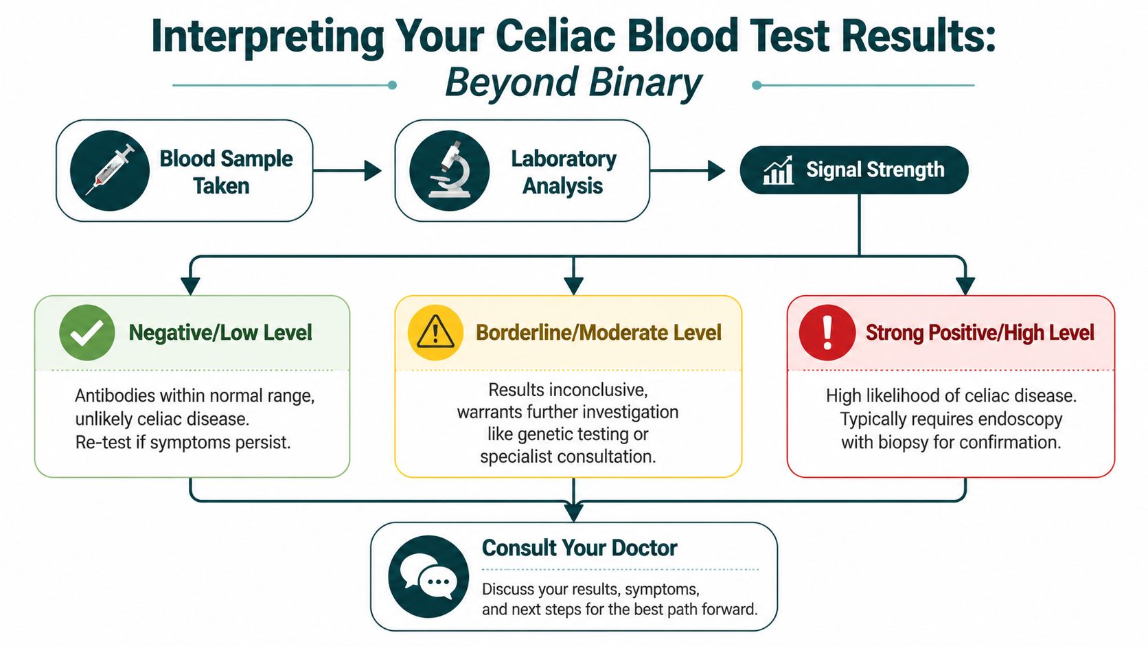 A flowchart explaining celiac disease blood test interpretations, ranging from negative to strong positive results.