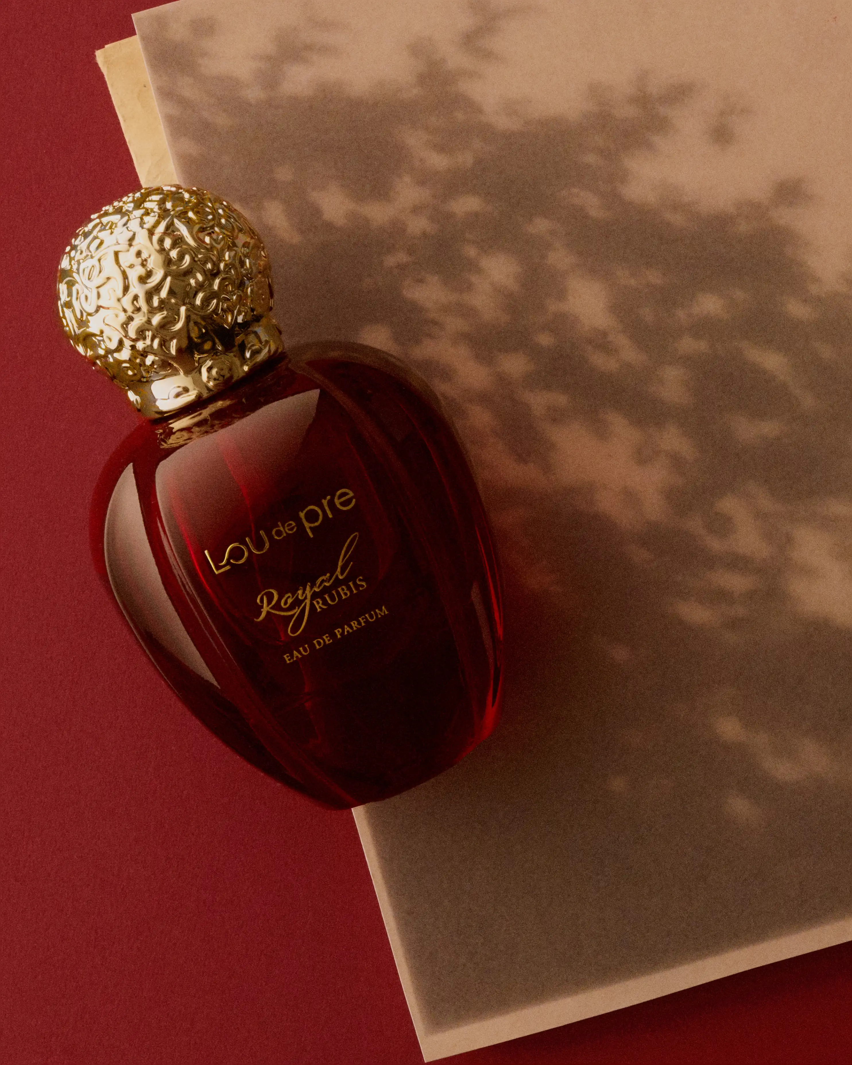 flakon perfum Lou de Pre leżących na starej książce, w tle widoczny cień rośliny