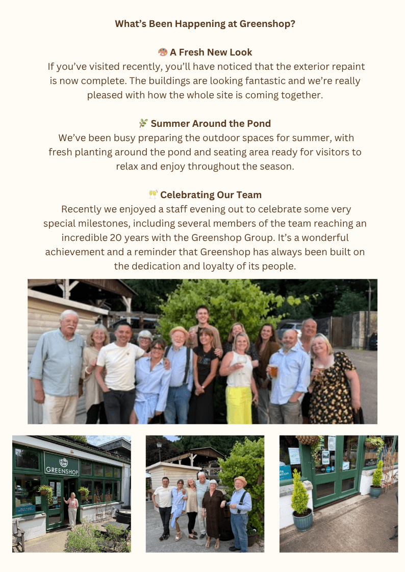 Latest Newsletter page 3