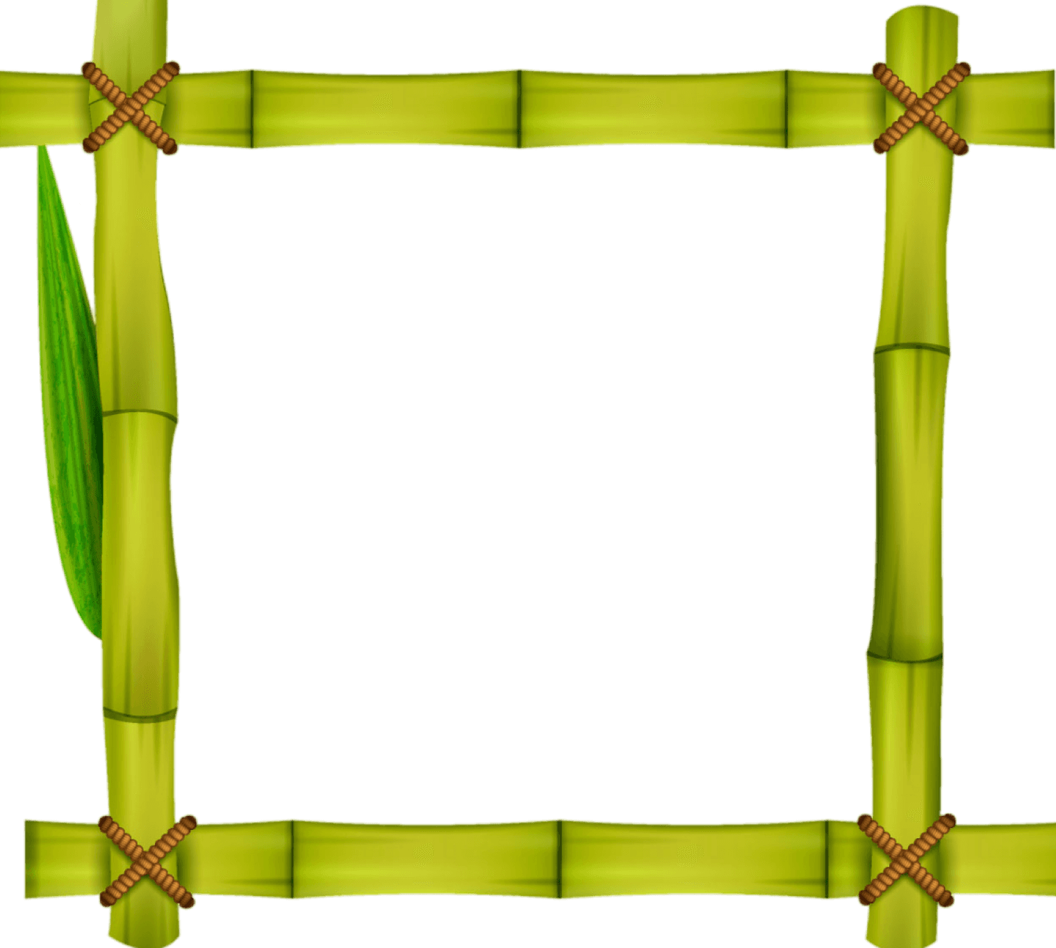 Bamboo frame with green leaves