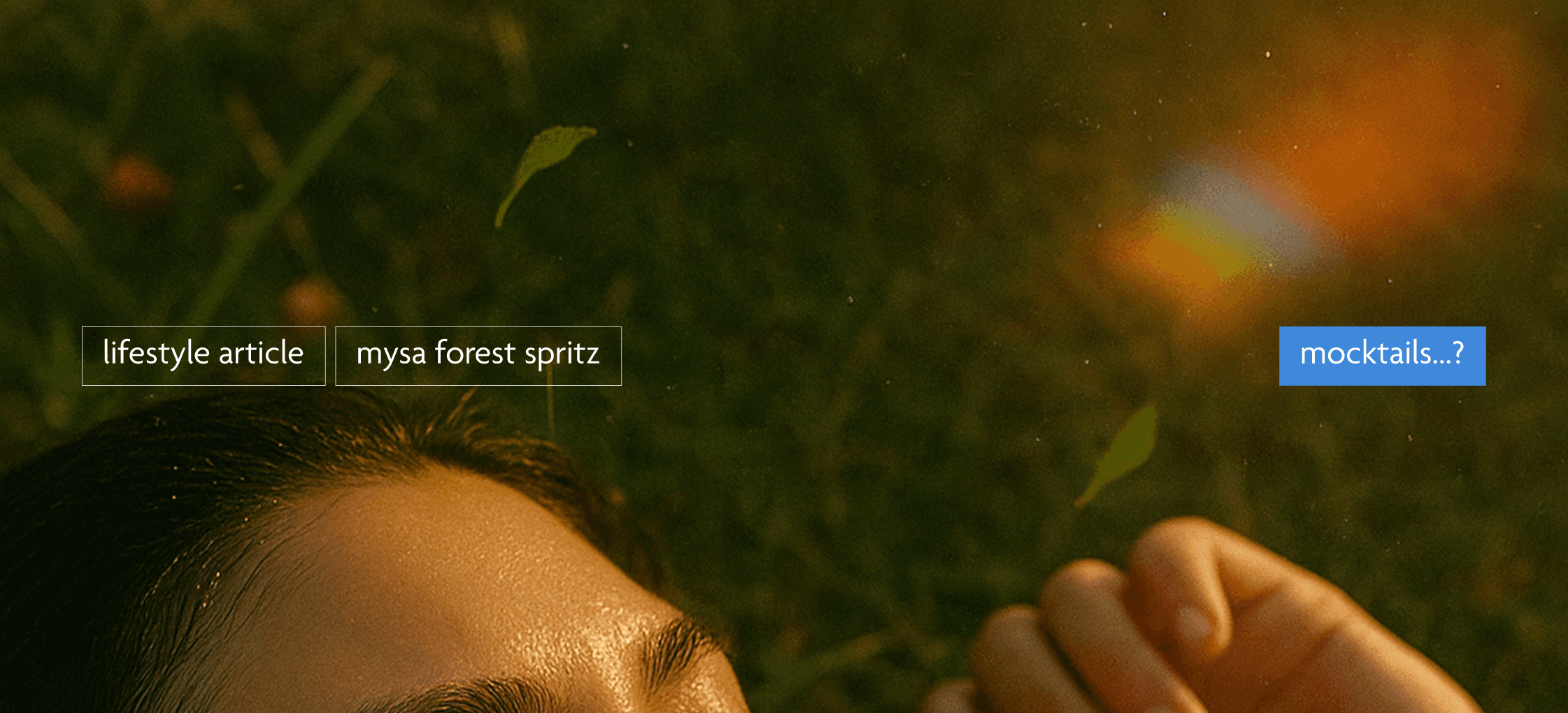 grass during goldenhour, part of head and hand