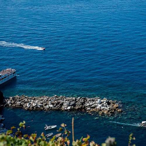 从上方俯瞰，蓝色海面上有几艘快艇靠近岩石防波堤，前景可见一些绿植。