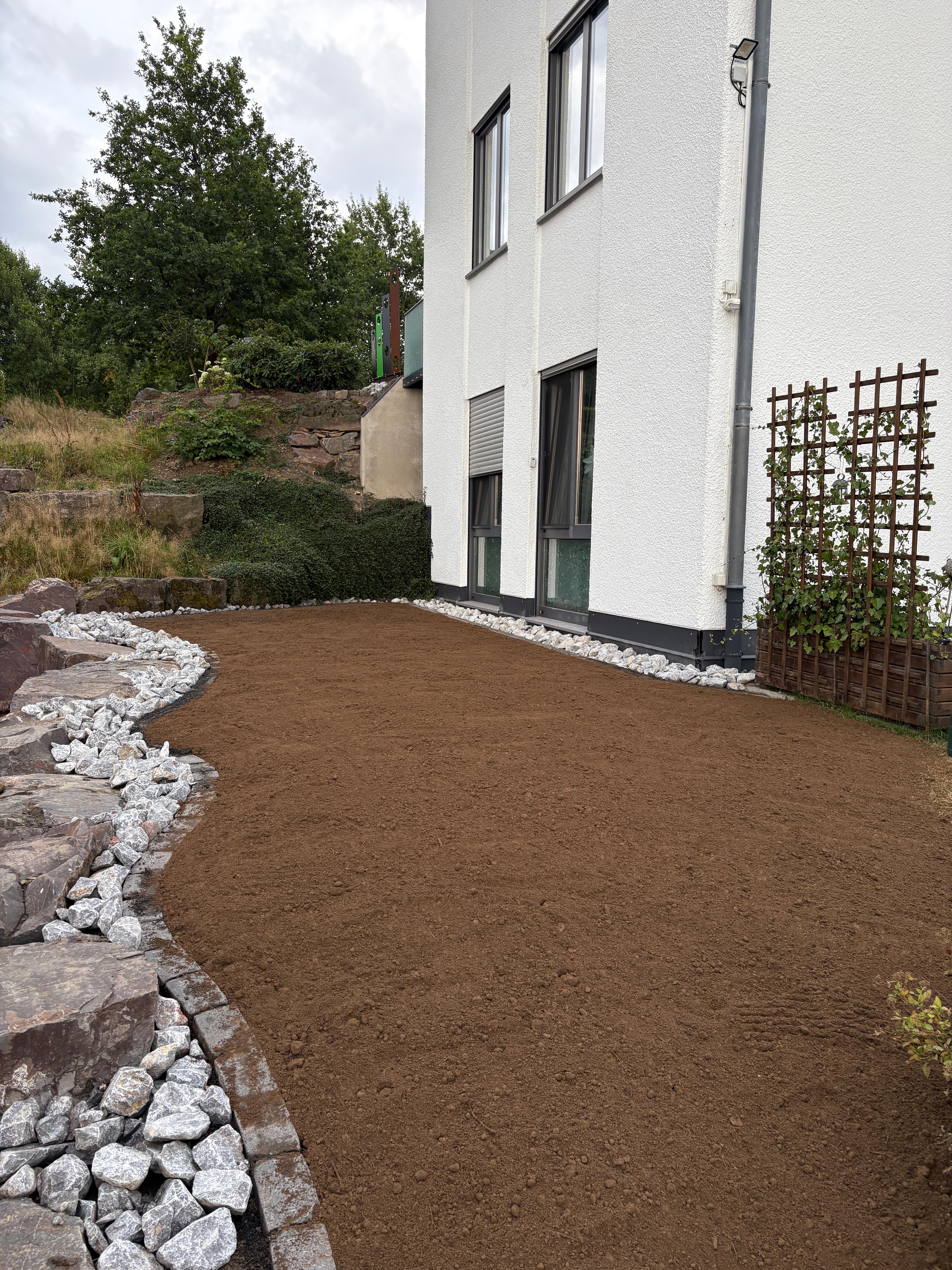 Modern landscaped garden showcasing professional outdoor design.