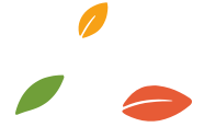 Decorative Element