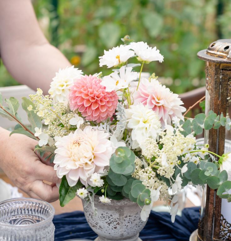 Profile Image of Logo Design Client