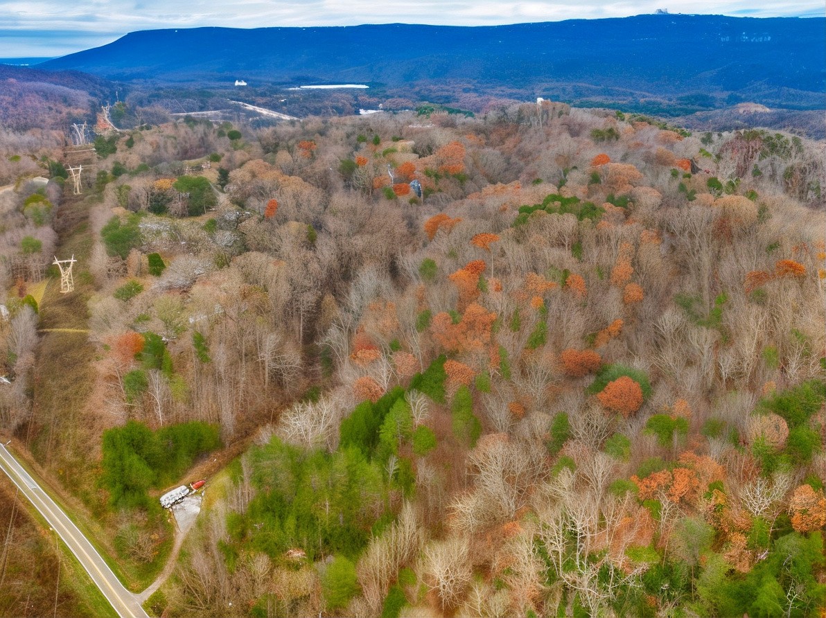 Find reliable roofing contractors in West Brow, GA. Explore local roofer quotes and trusted professionals near you.