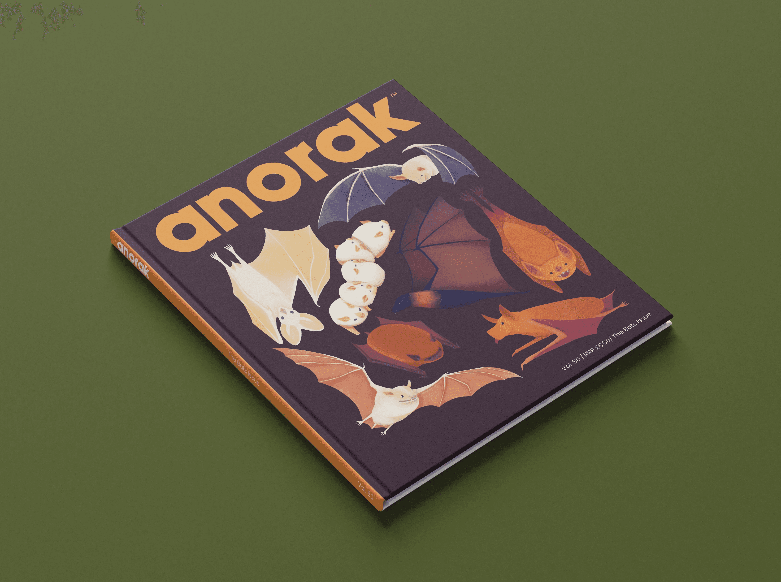 Front cover and spine mock up