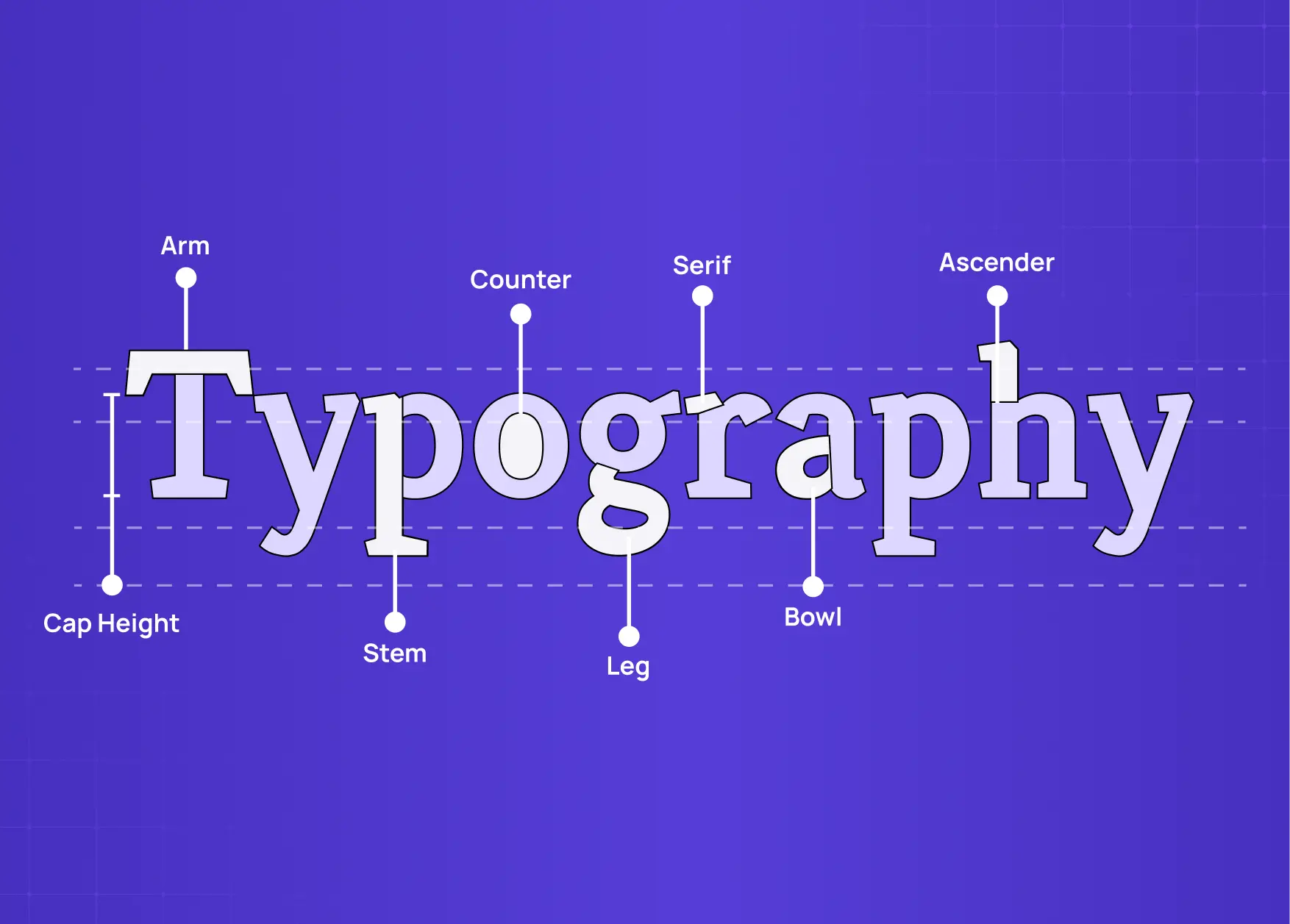 Diagram illustrating the anatomy of typography, labeling elements such as serif, stem, counter, bowl, ascender, and cap height.