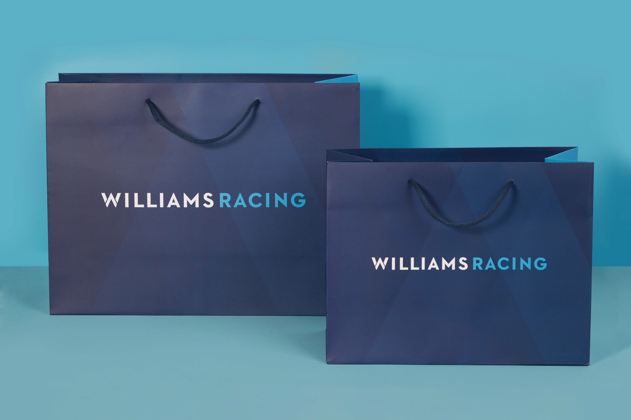 Williams Racing Carrier Bag