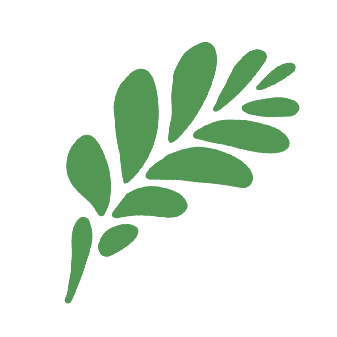 Residential Plumbing