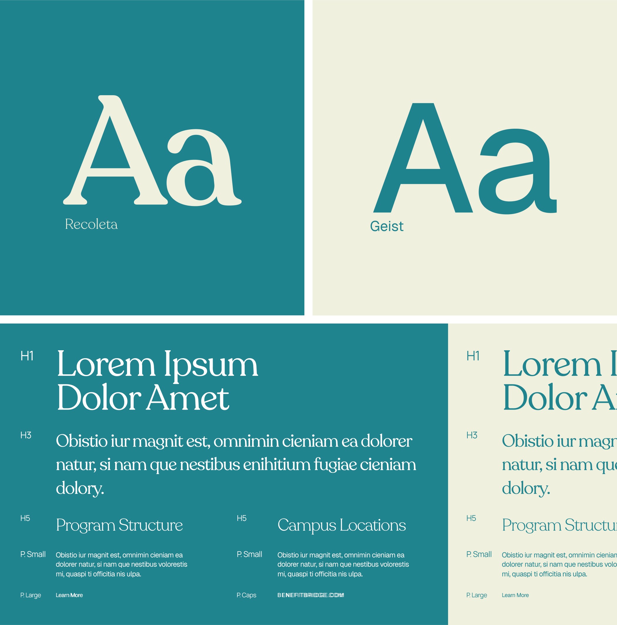 Packaging redesign aligned with new brand identity