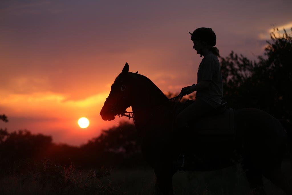Grupp av ryttare på ridresa i Afrika galopperar över Serengetis vidsträckta slätter medan damm och gnuhjordar rör sig över horisonten under the great migration.