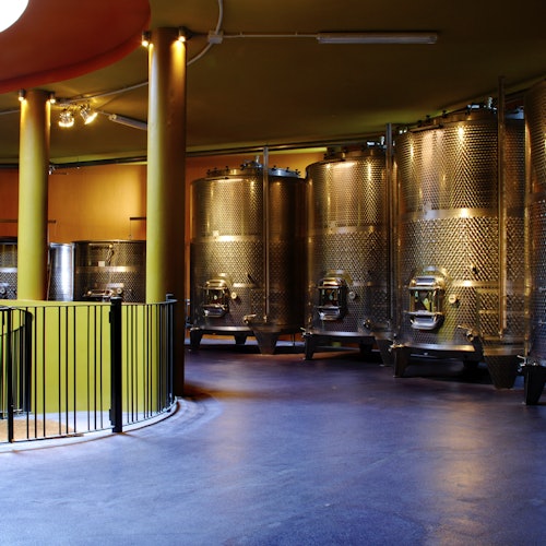 A room with stainless steel fermentation tanks, a circular railing, and a polished blue floor.