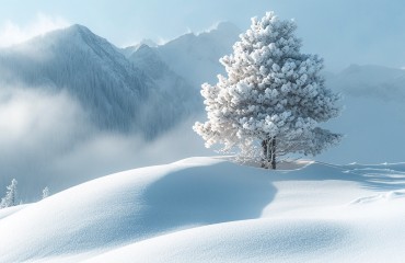 Snowy Swiss landscape