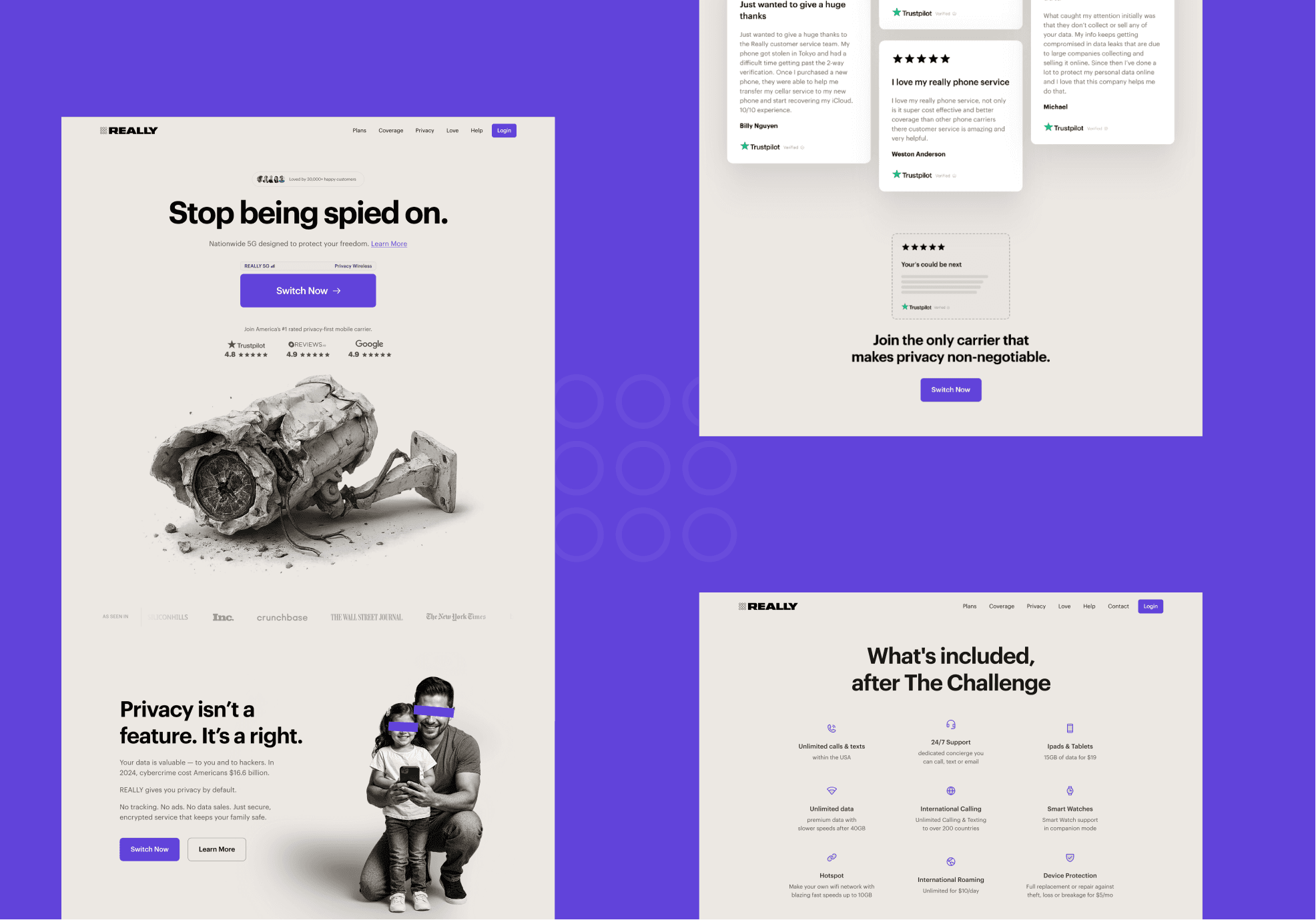 Really full homepage design showing hero and privacy sections — Really case study by Boldway Studio