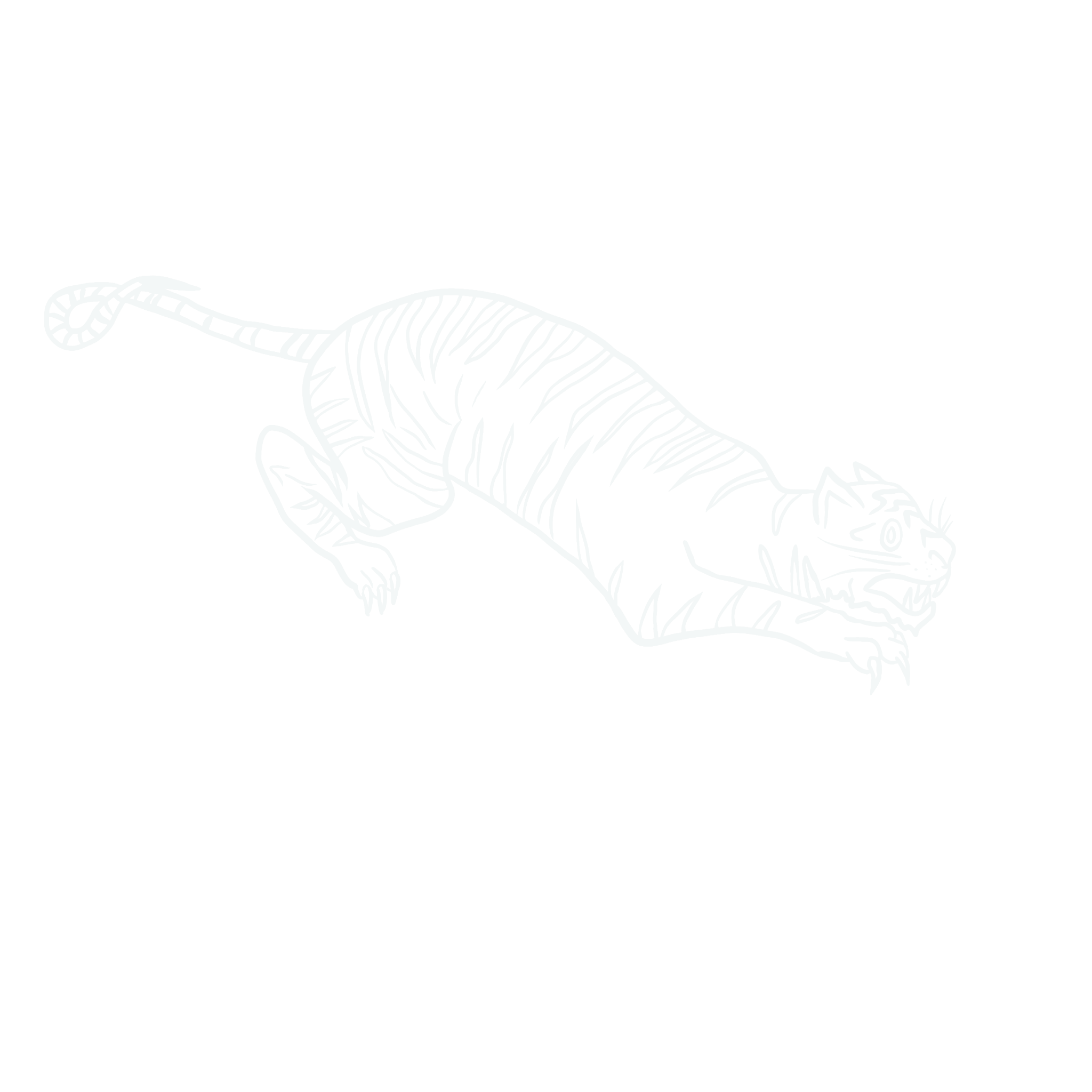 Rousseau hand drawn tiger