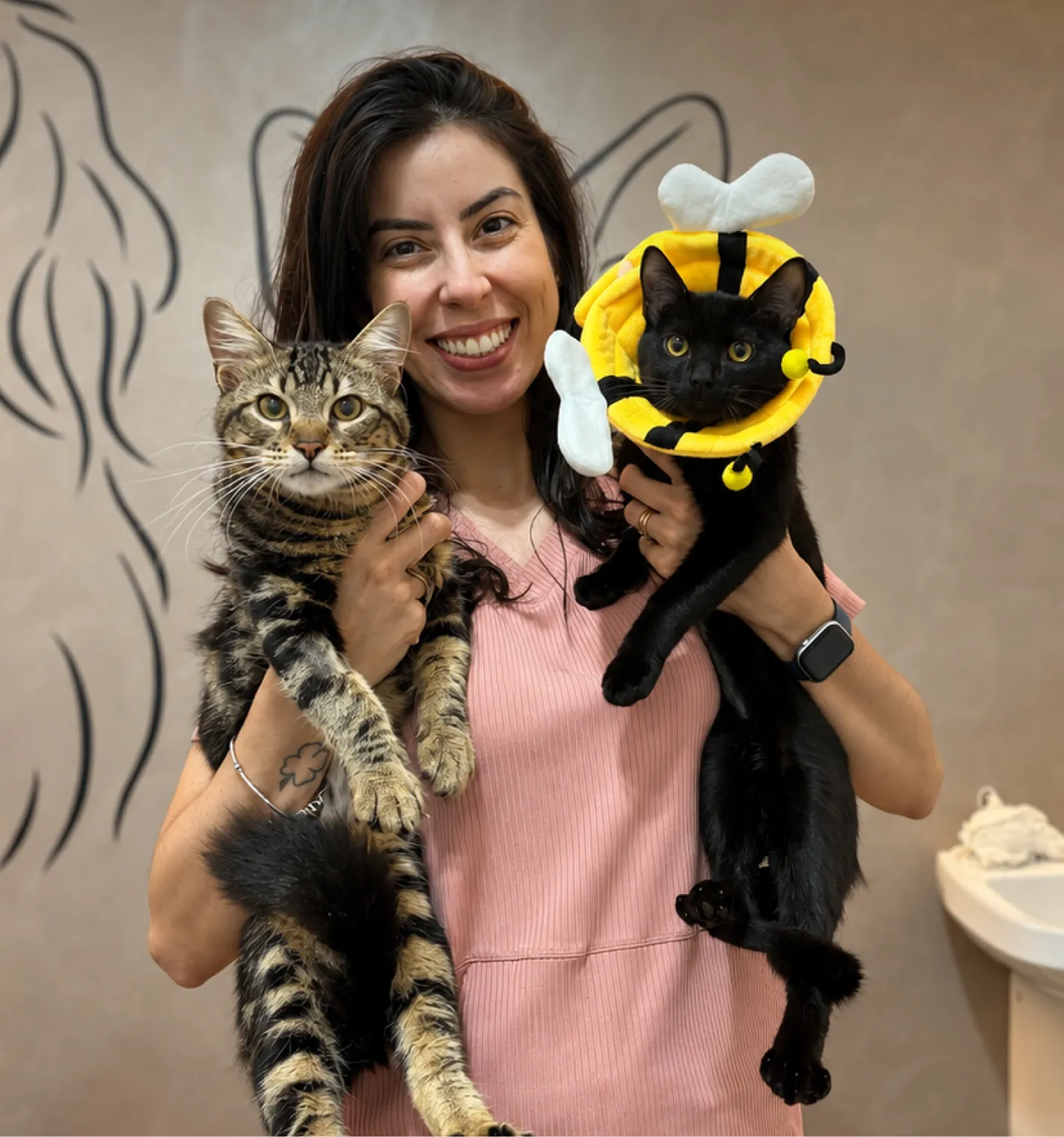 Hero Image Veterinarias