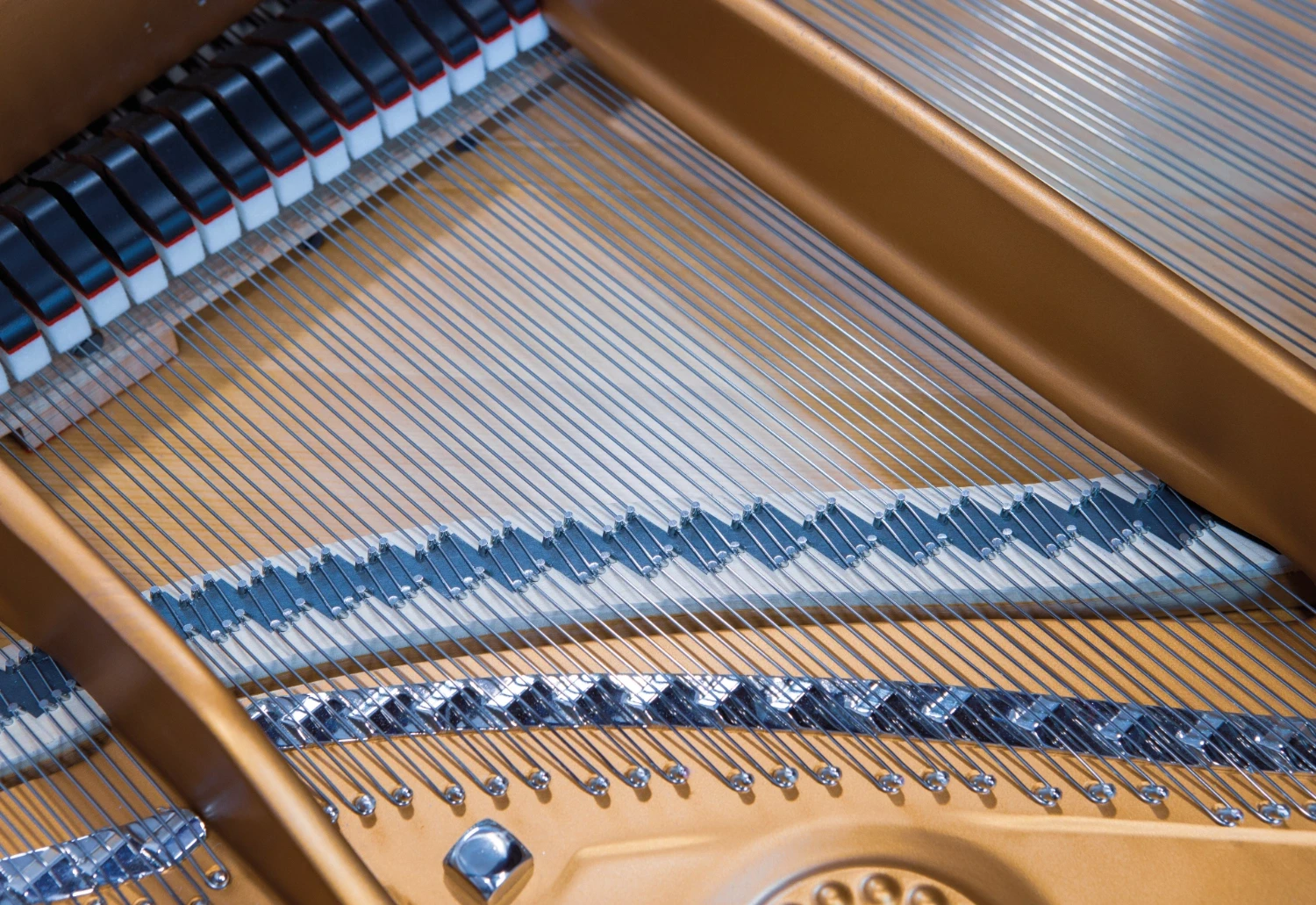 Interior view of the grand piano, showcasing the golden iron frame and meticulously restored strings.