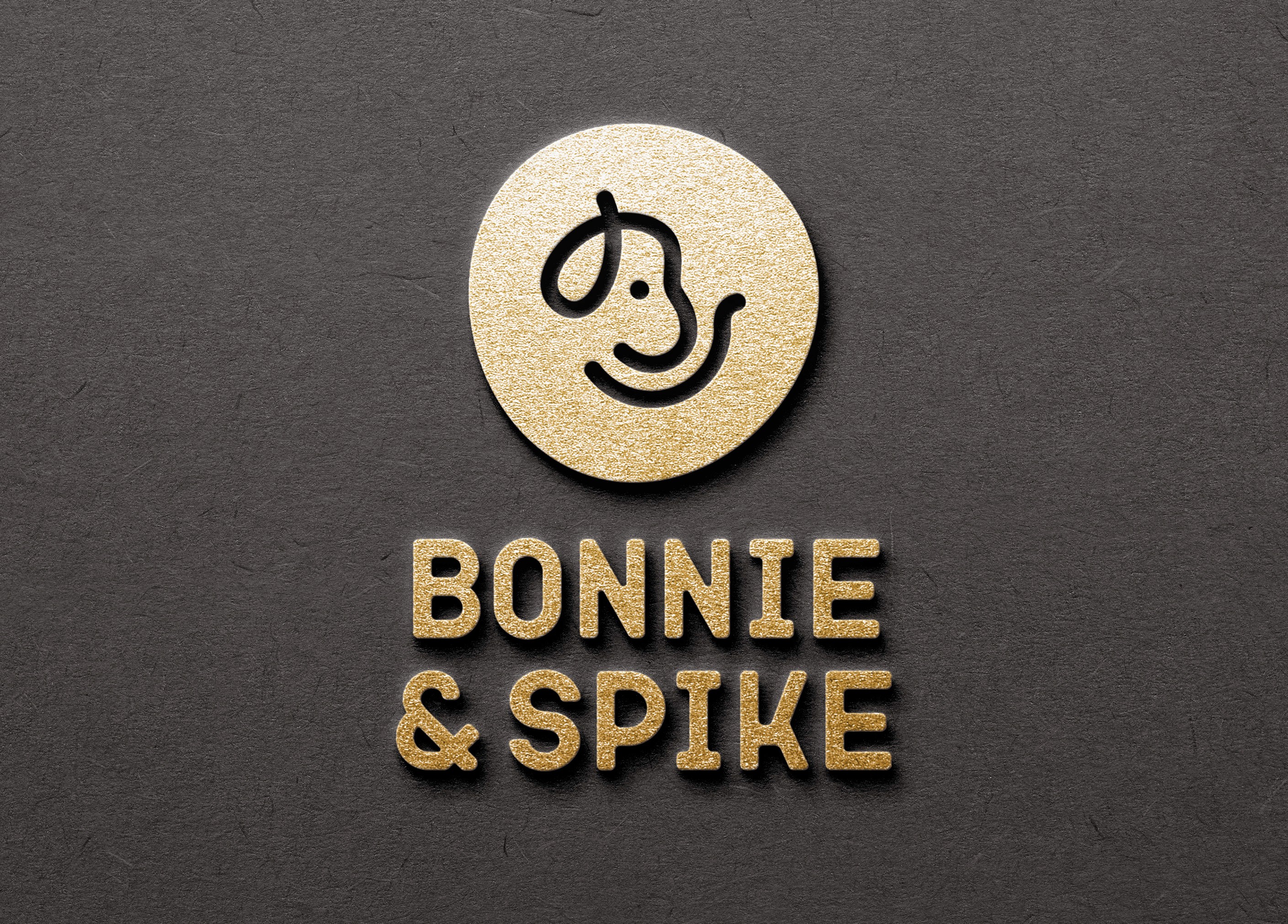 Farbwelt und Gestaltungssystem im Branding von Bonnie & Spike – frische, kontrastreiche Farbpalette mit klarer Struktur