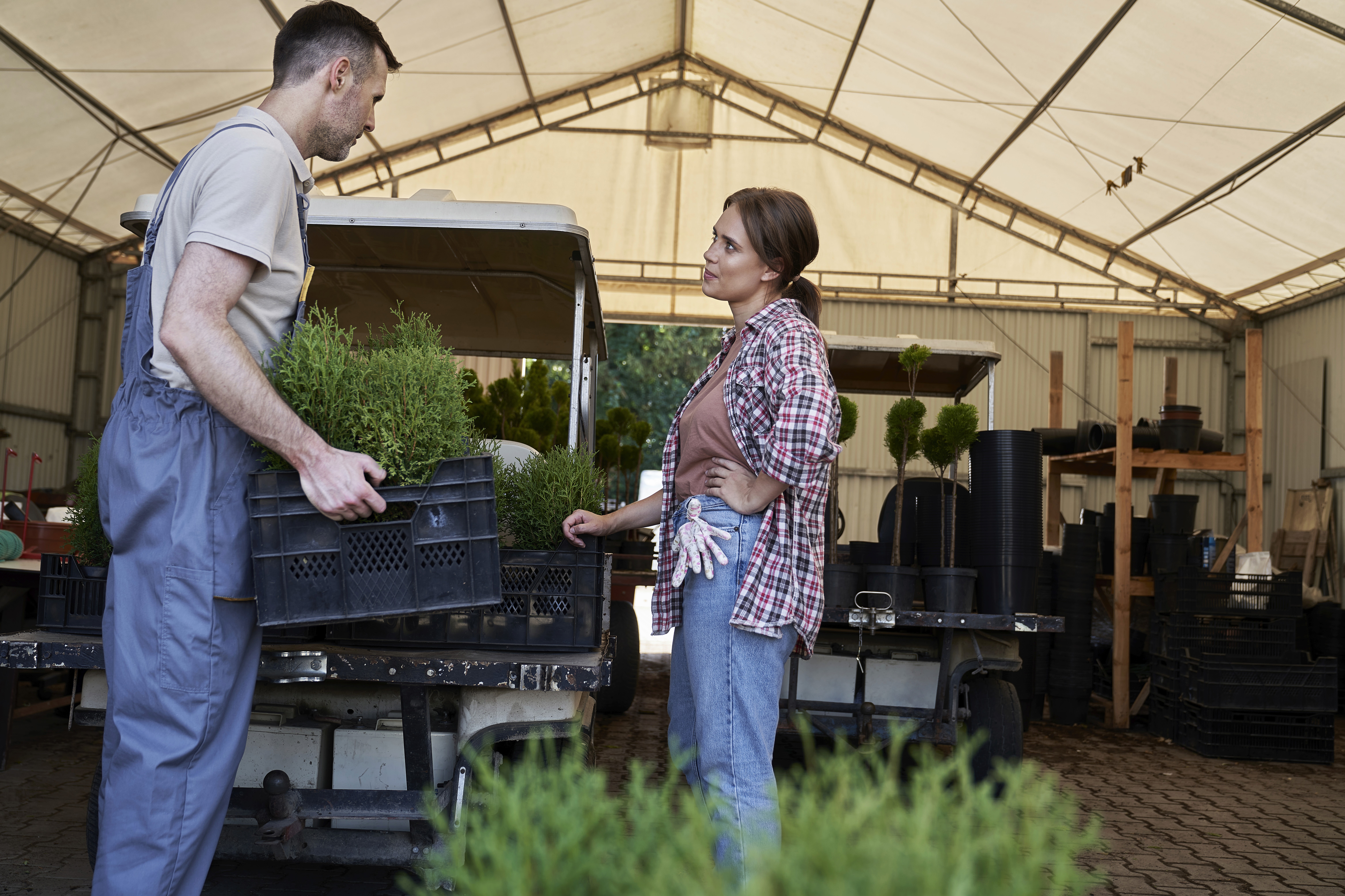 Coopératives agricoles