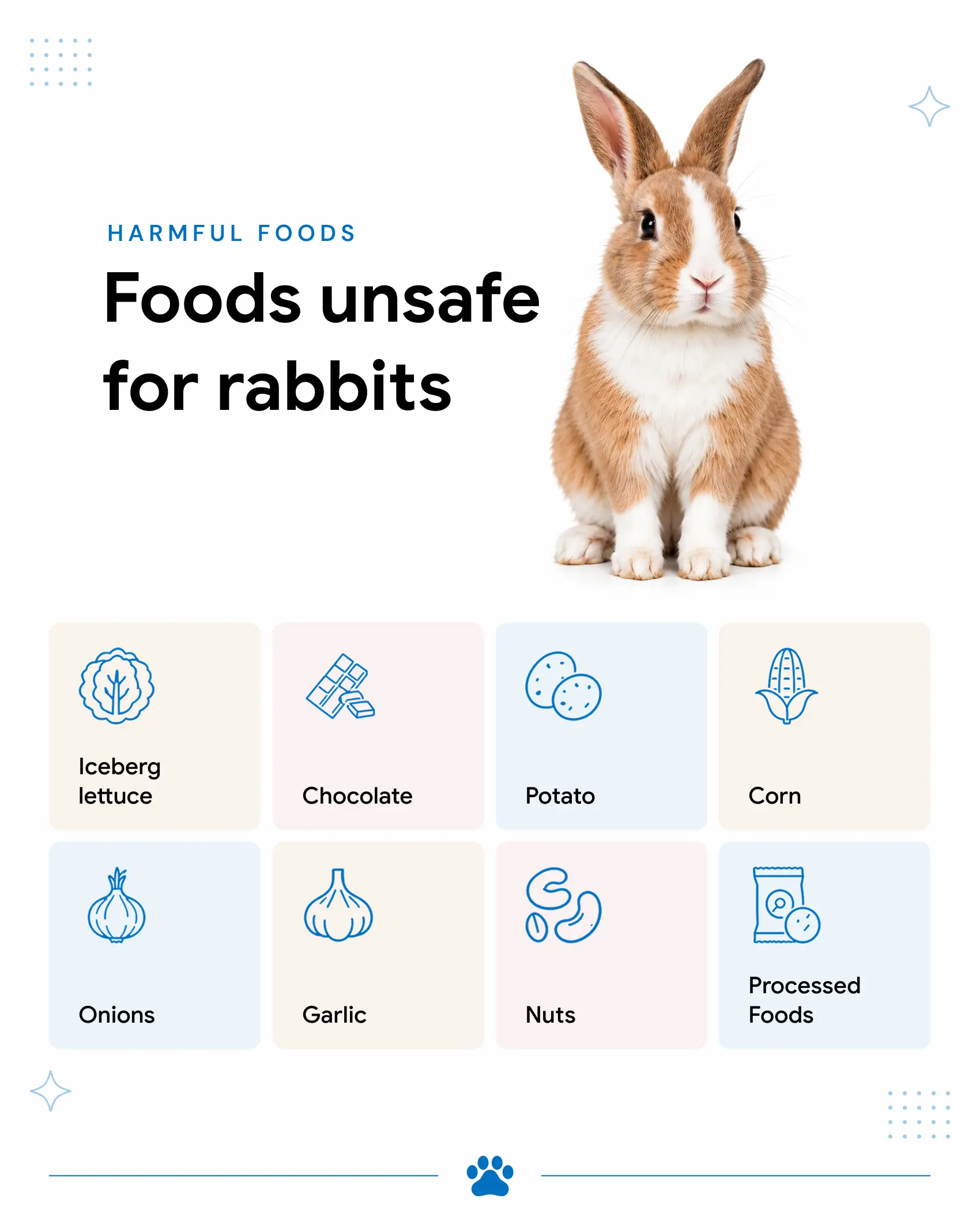 An infographic showing the foods that are bad for rabbits.