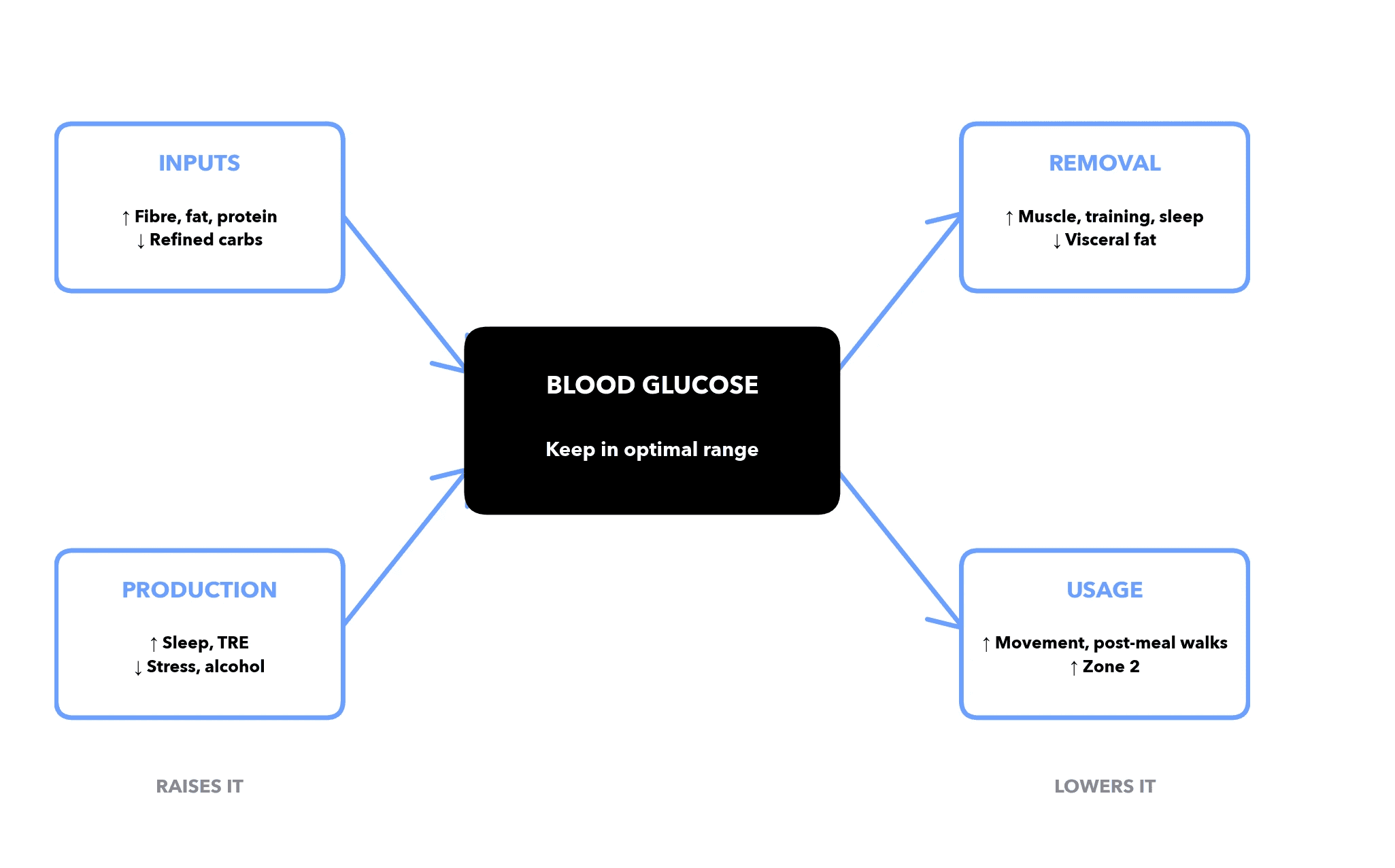 The four-lever framework for blood glucose control. Inputs (fibre, fat, protein in; refined carbs reduced) and Production (sleep, time-restricted eating, stress management) raise blood glucose. Removal (muscle mass, training, sleep) and Usage (movement, post-meal walks, Zone 2 cardio) lower it. Optimal glucose control balances all four.