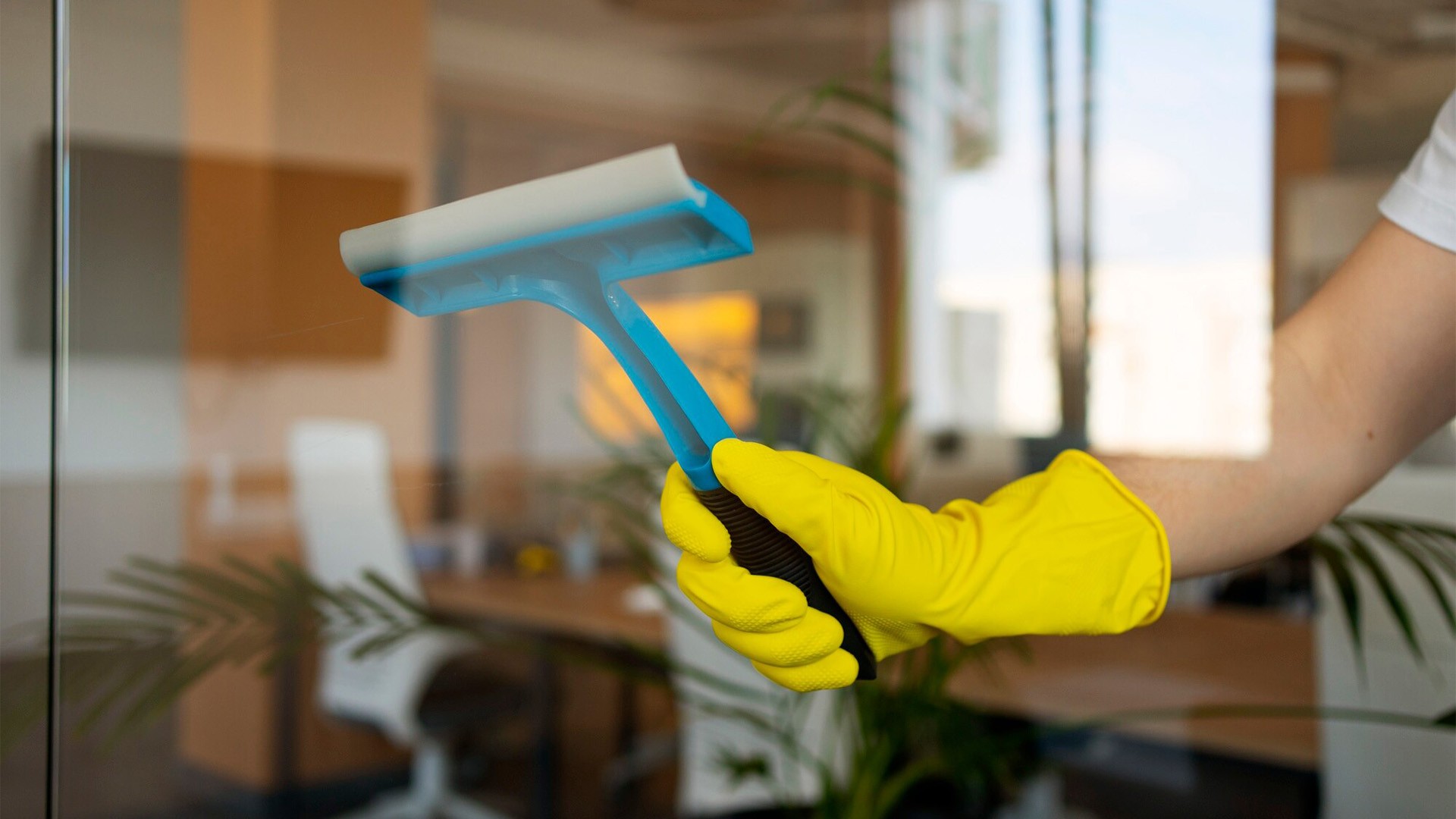 Nettoyage vitre Valentigney (25)