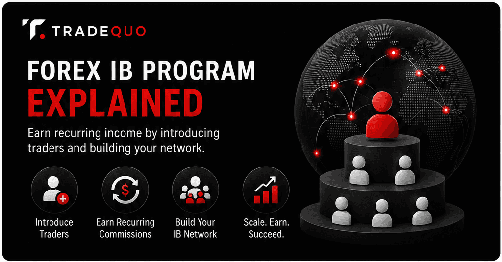 What Is an IB Partnership Program