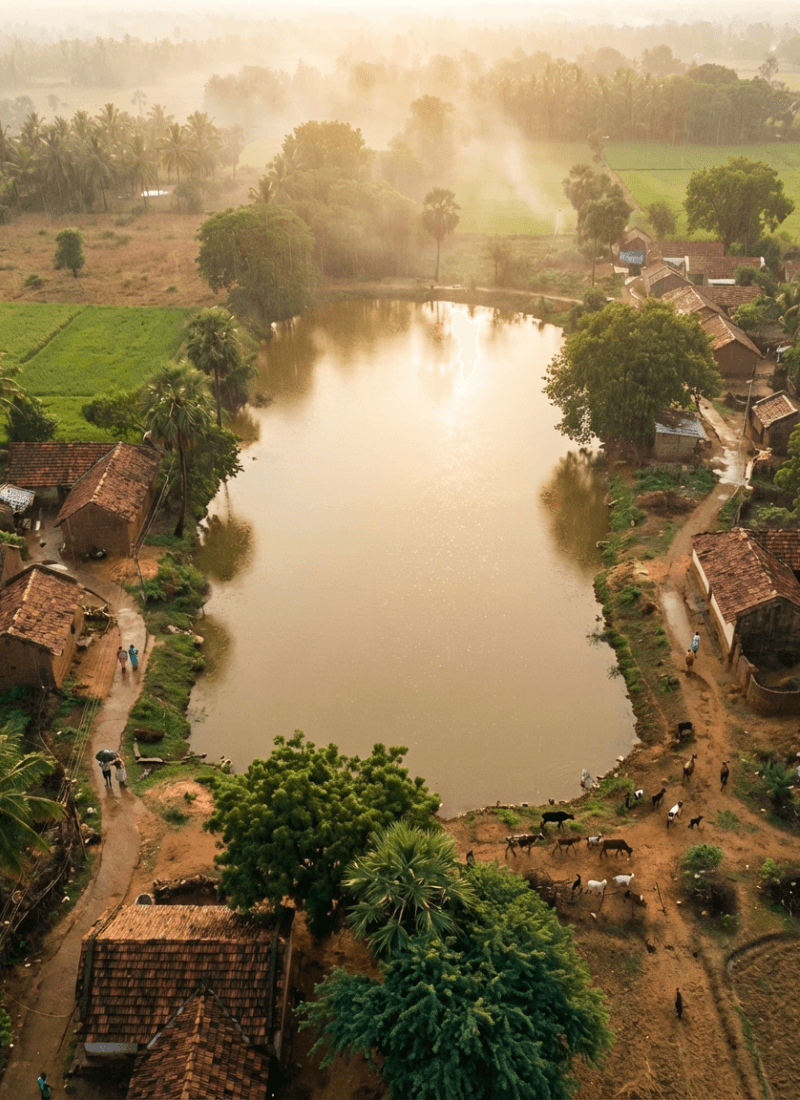 Beautiful landscaped garden with greenery and outdoor design elements.