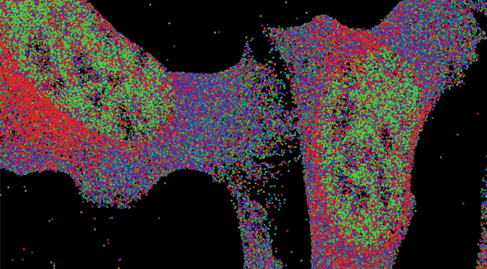 colored dots in a pattern on black background
