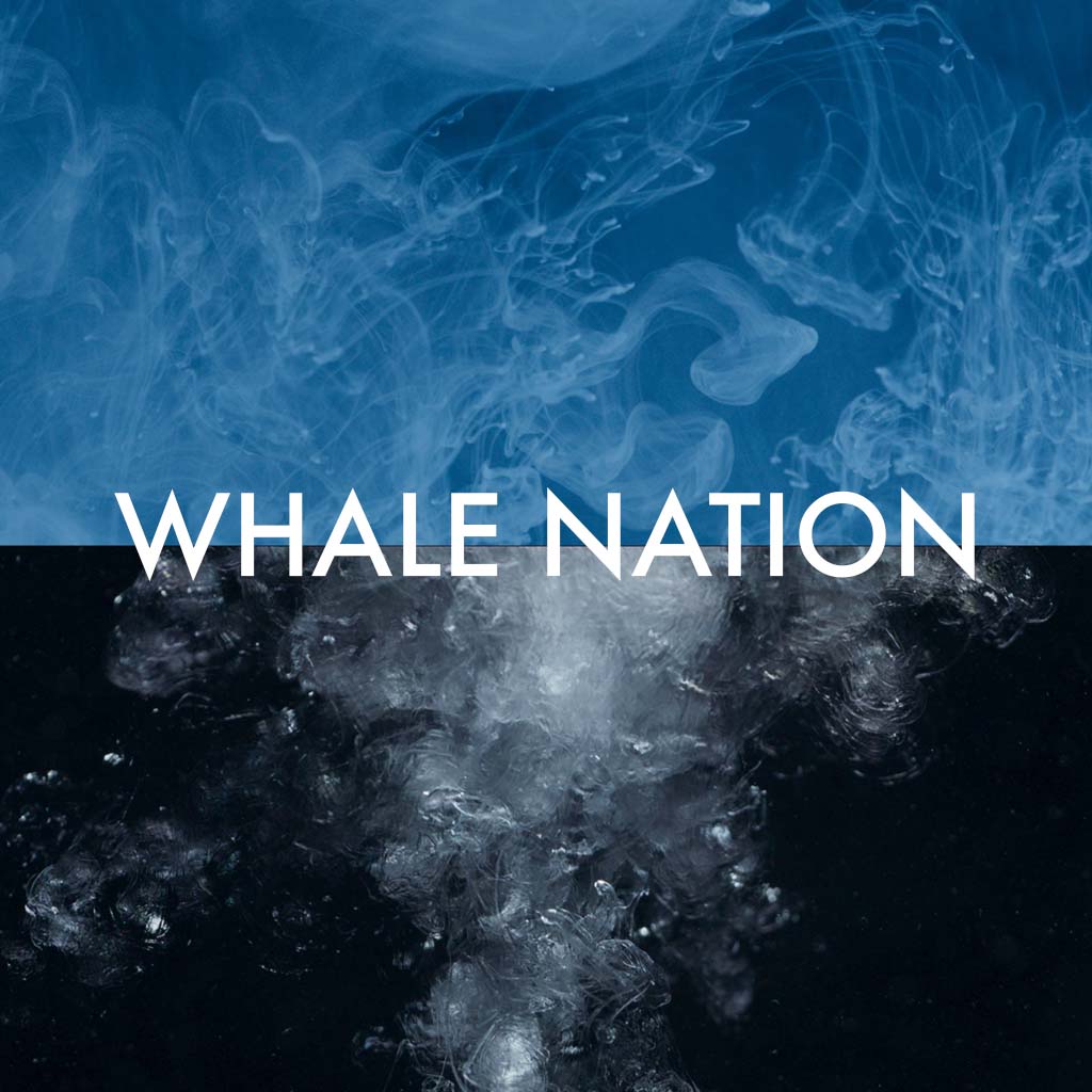 whale nation