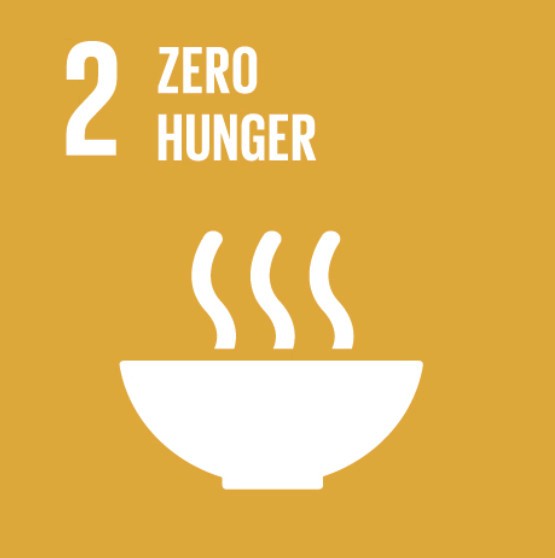 The image represents the second United Nations Sustainable Development Goal (SDG 2), which is "Zero Hunger." It features a yellow background with the text "2 Zero Hunger" at the top. Below the text, there is a simple white icon of a bowl with three lines of steam rising from it, symbolizing food and the aim to eliminate hunger worldwide.