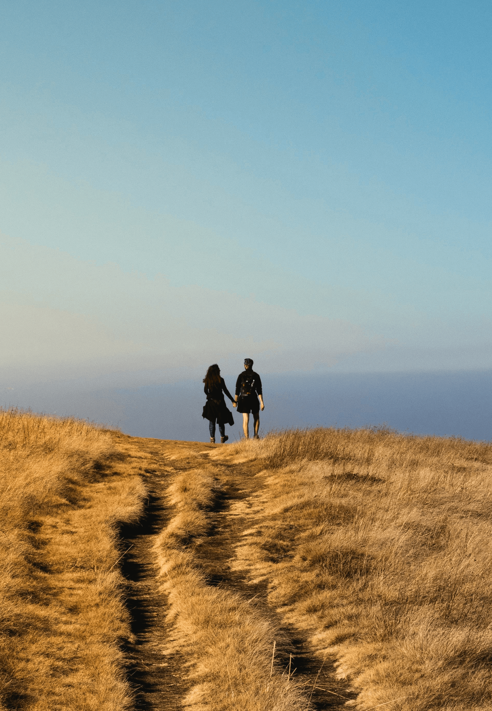 Work-Life Balance Couching