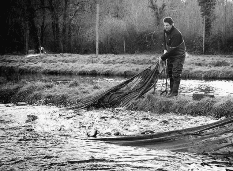 Owner of Goatsbridge Trout Farm fishing while being in a Field Owners of Beechlawn Organic Farm laughing in the field while supplying their goods to As One Restaurant Dubliln