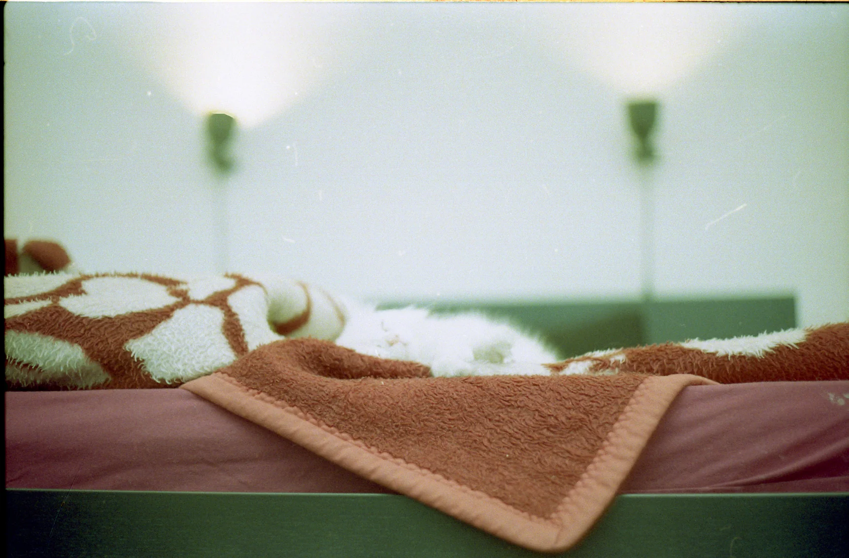 Afternoon Nap