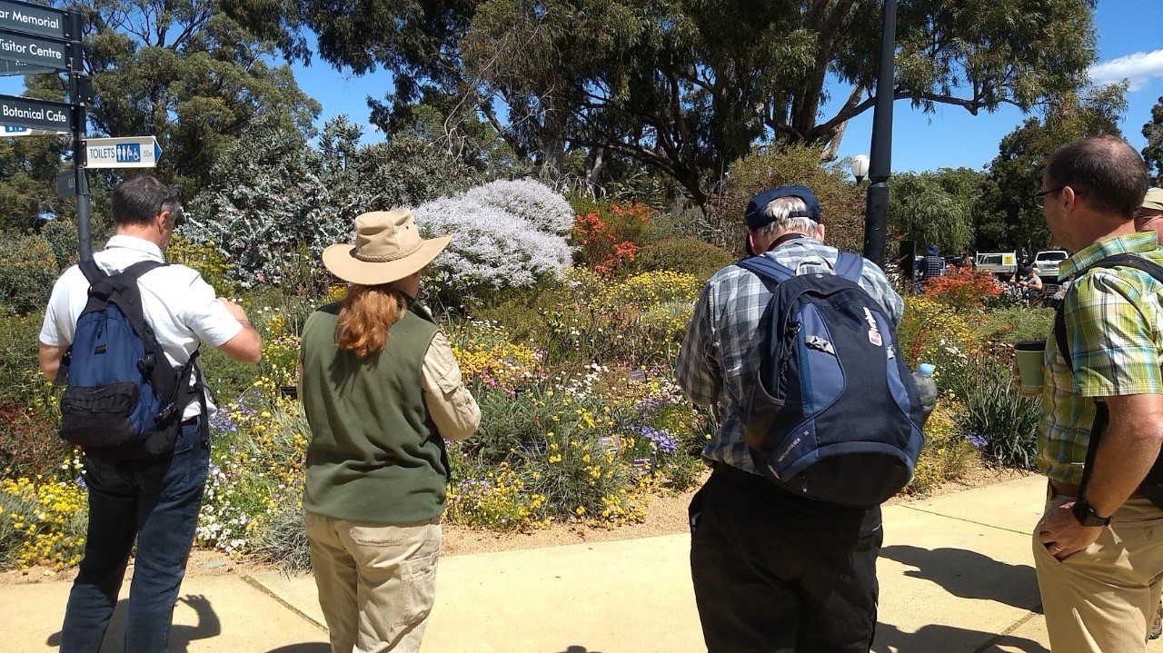 Grupo de visitantes com mochilas percorre caminho entre canteiros de plantas em jardim botânico