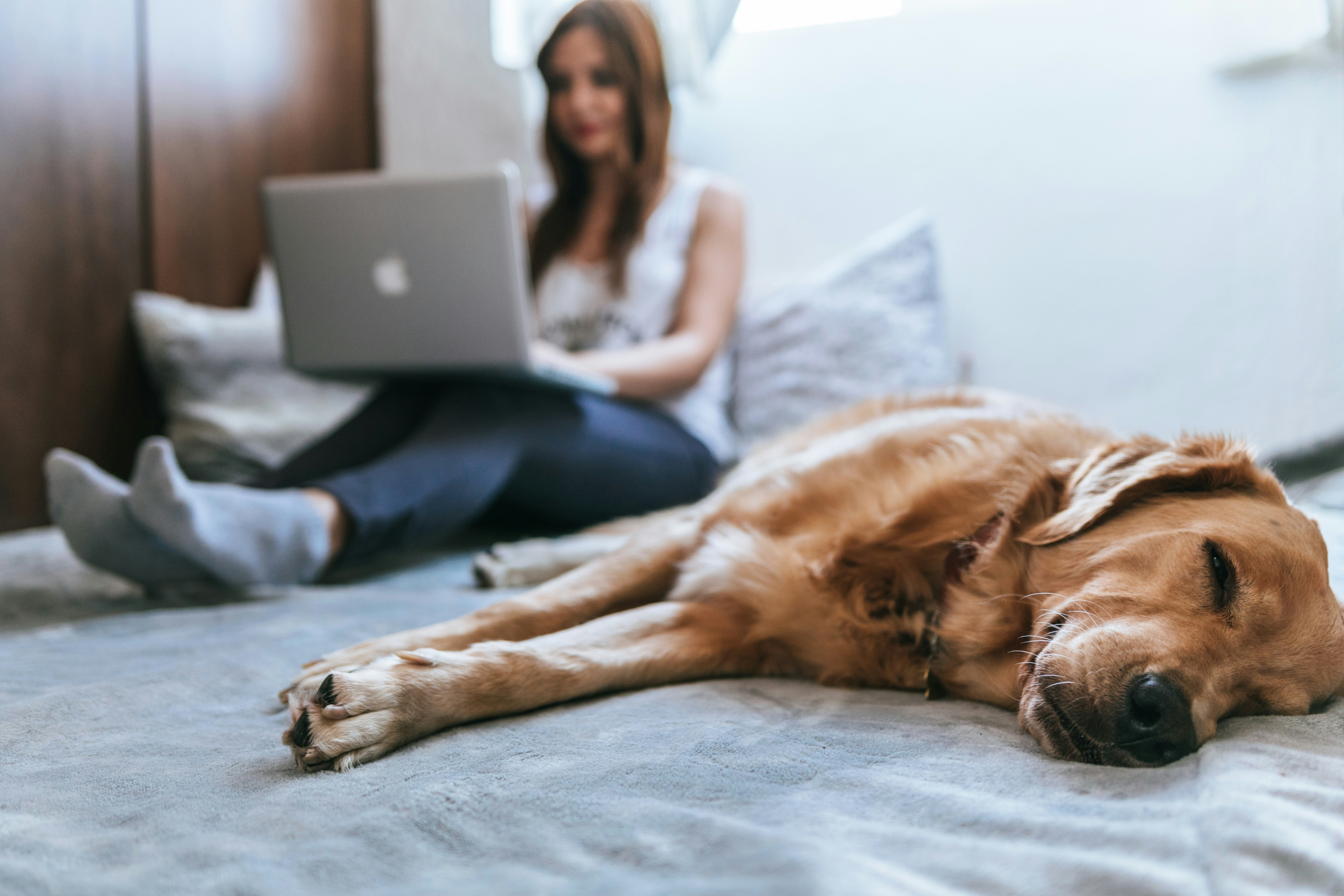 student with dog on bed - med school study tools