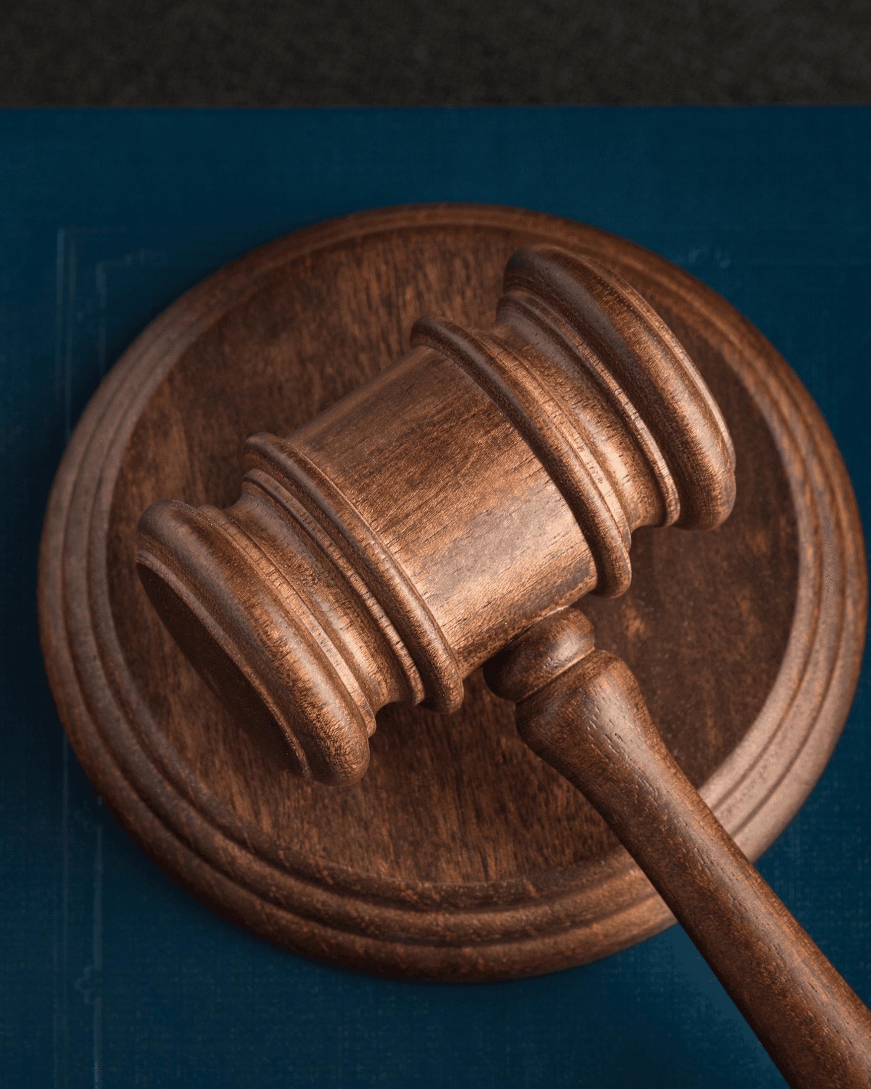 Close-up of a tree stump showing growth rings and a textured brown wood surface.