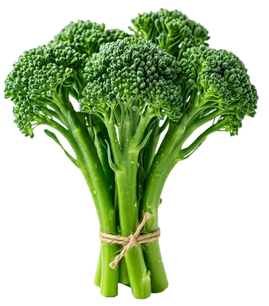 Baby broccoli stems