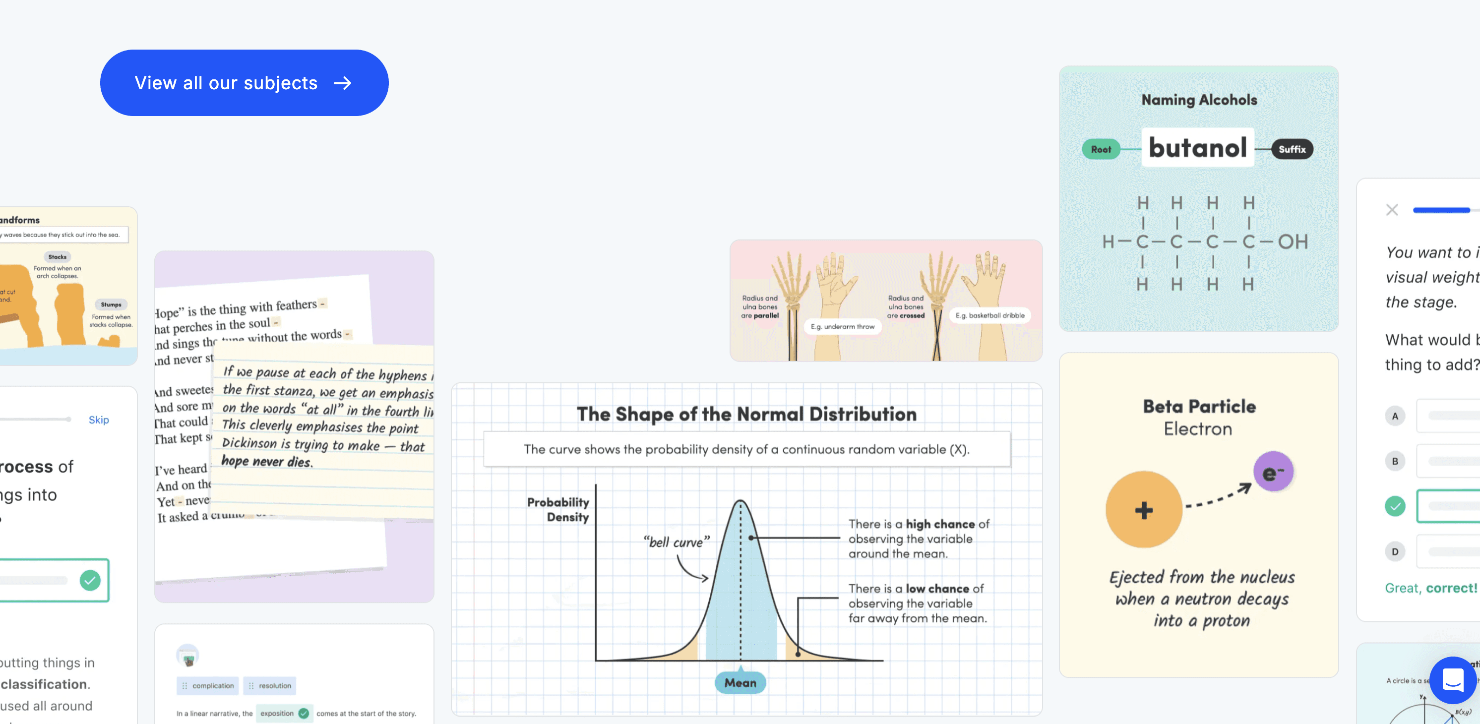 two men standing on red flower in front of gray metal wall