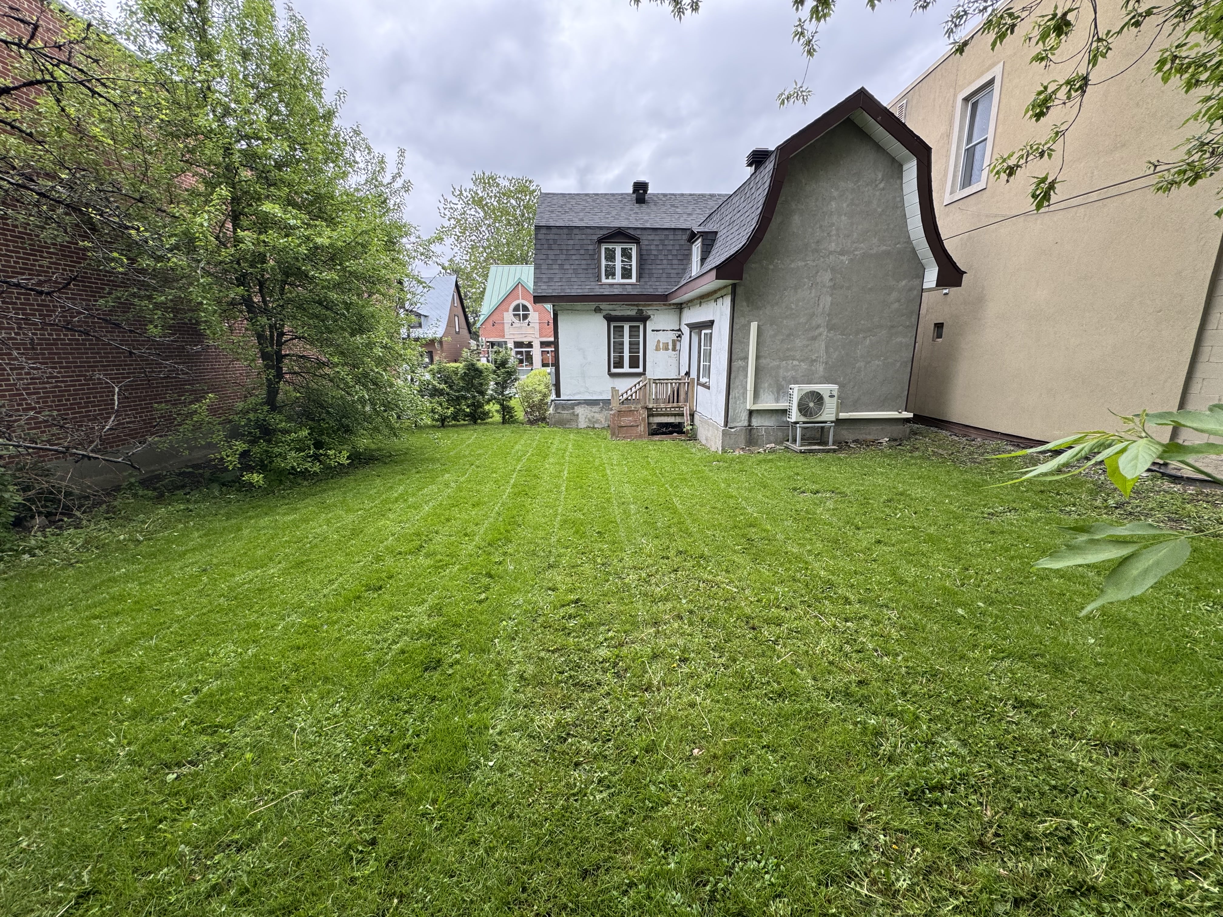 Lawn Mowing