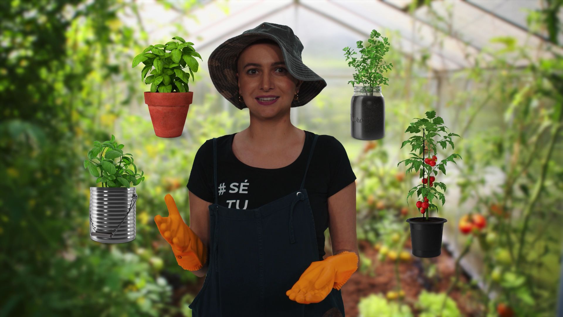 mentalidad-de-crecimiento - Lifebox