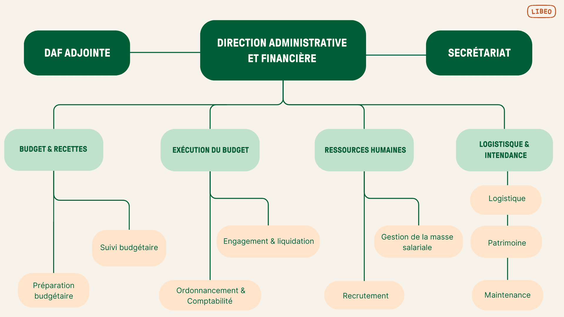 Direction Administrative Financière : organigramme