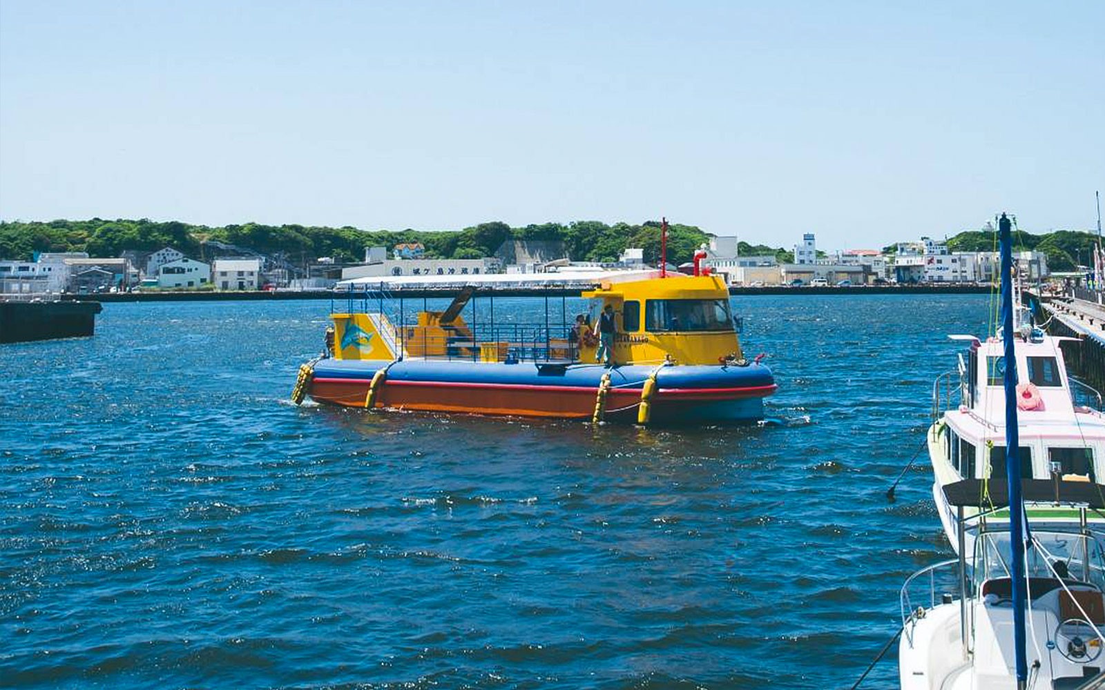 કેક્યુ રેઇન કુશળ પર્યાવરણમાં પસાર થઈ રહી છે, જે ટોક્યોના મિસાકિ માગુરો તરફના દિવસના પ્રવાસ માટે છે.