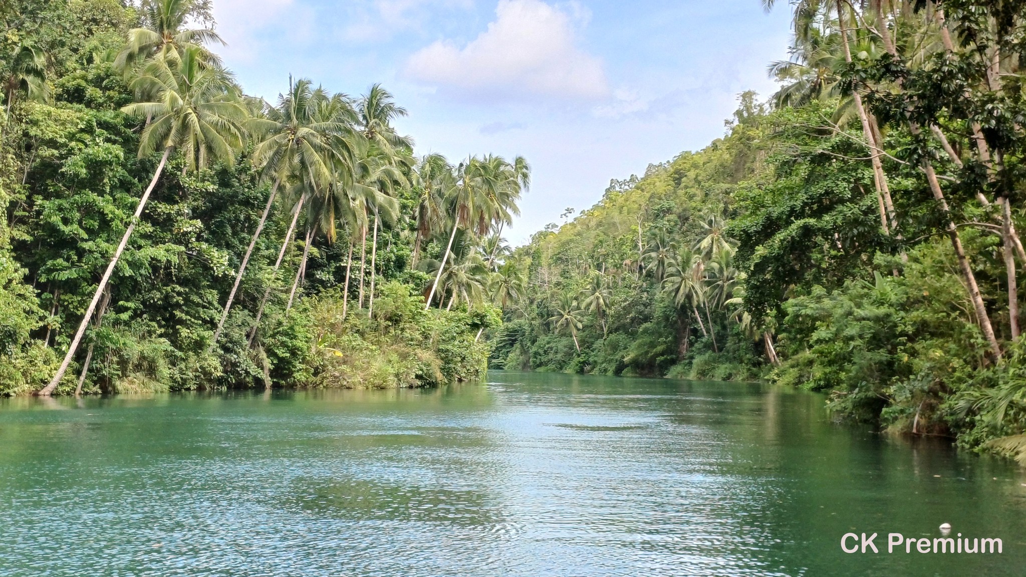 Krásná řeka Loboc v provincii Bohol, Filipíny.