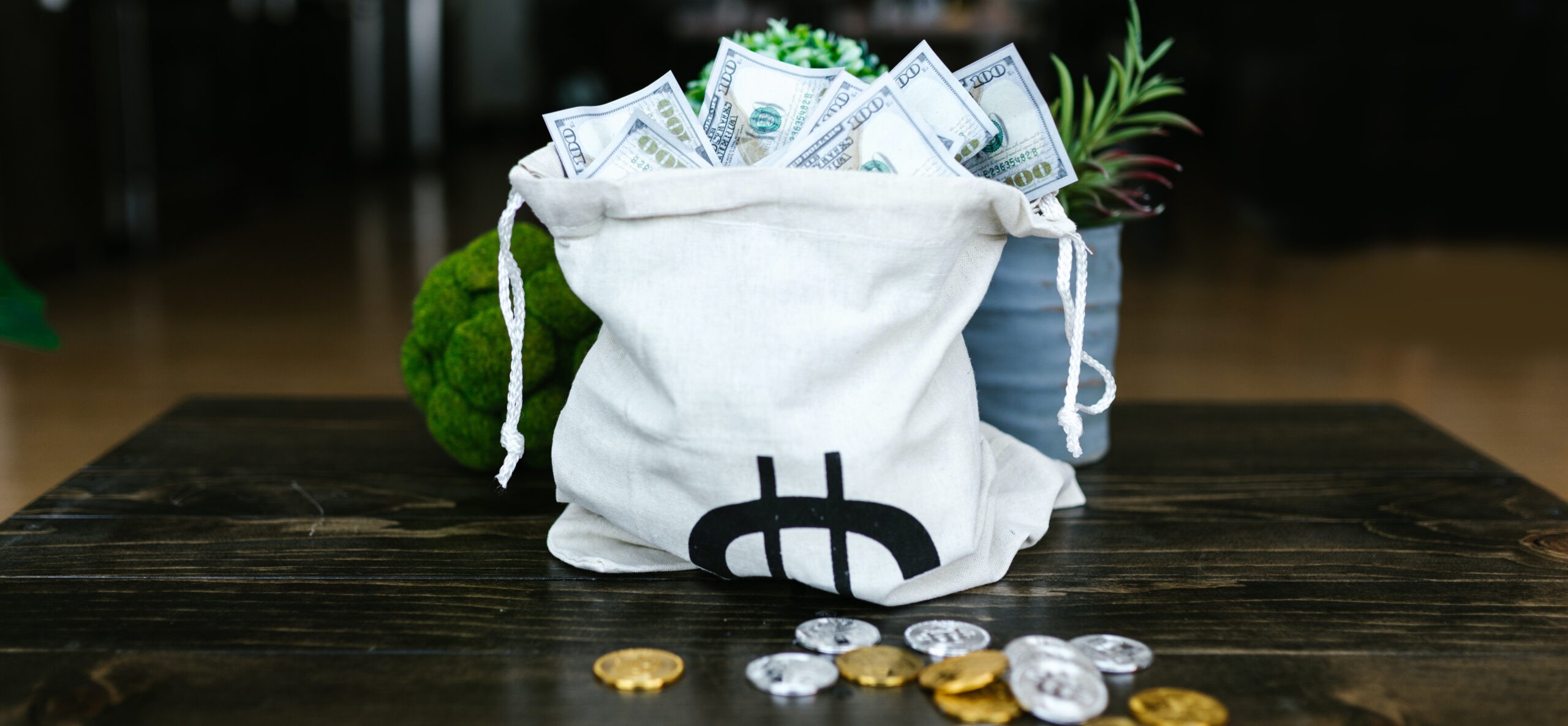 image of reusable bag full of money