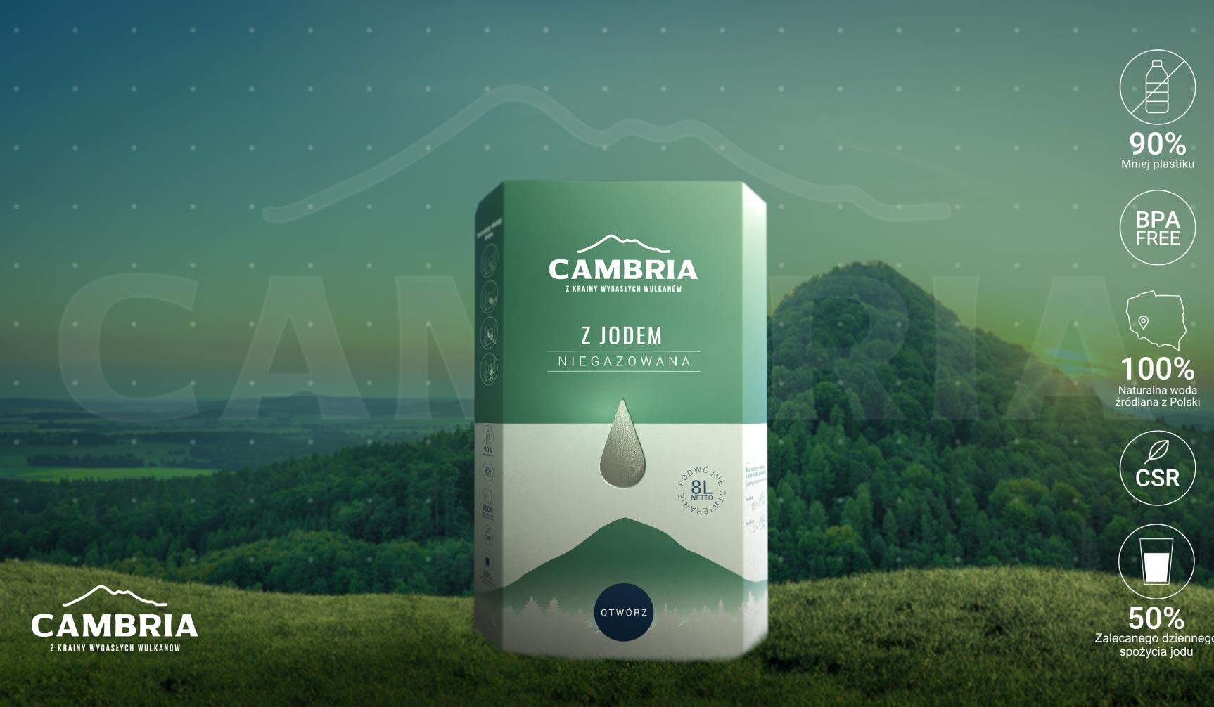 Projekt opakowania typu Bag-in-Box dla wody Cambria – design z ikonografią ekologiczną.